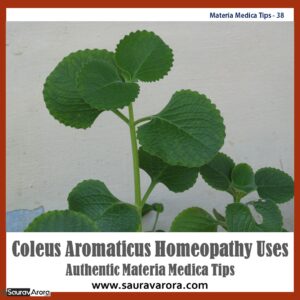 coleus aromaticus homeopathy uses