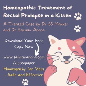 homeopathy for rectal prolapse in kitten